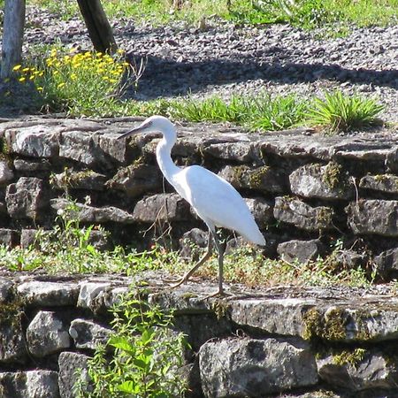 River Cottage Balledent エクステリア 写真